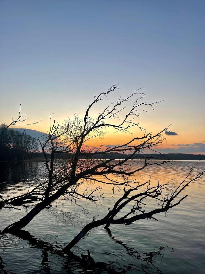 Auszeit Tollensesee Groß Nemerow 외부 사진
